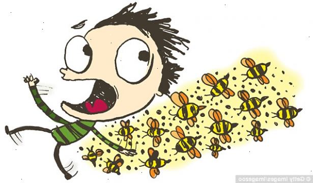 Hoe te insectensteken genezen. Bepaal of u werden gestoken door een bij of een wesp.