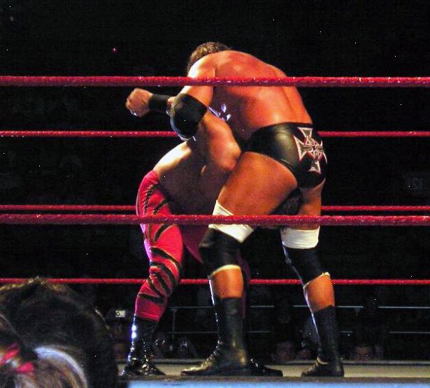 Hoe maak je een stamboom zoals WWE ster triple H voeren. Schop je tegenstander in de maag of andere manier maken ze in een voorovergebogen houding.