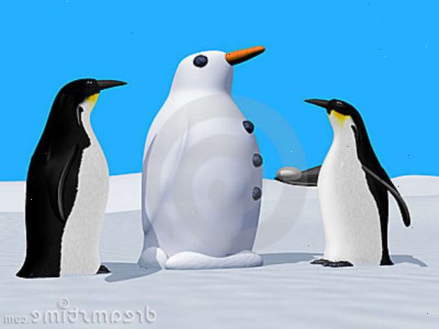 Hoe bouw ik een sneeuw pinguïn. Controleer de sneeuw conditie.