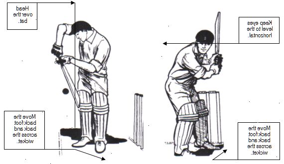 Hoe maak je een cricket slag timen. Richt uw ellebogen in de bowler als hij loopt in de kom.