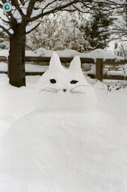 Hoe maak je een sneeuw kat maken. Bouwen van de basis van de kat eerste.