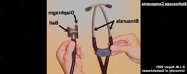 Hoe maak je een stethoscoop te gebruiken. Inspecteer de stethoscoop voor kwaliteit en beschadigingen.