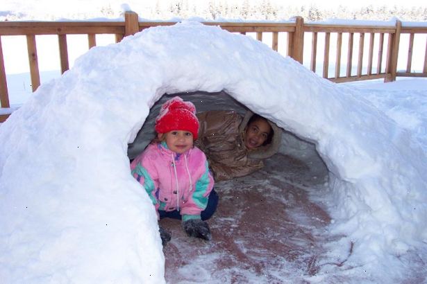 Hoe bouw ik een snow fort. Kiezen wat voor soort fort u zal maken!