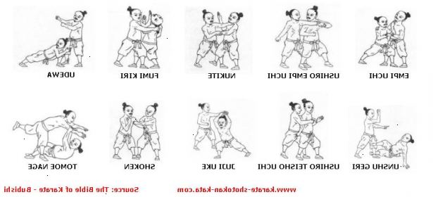 Hoe basis karate begrijpen. Er zijn vele stijlen van karate;. E.